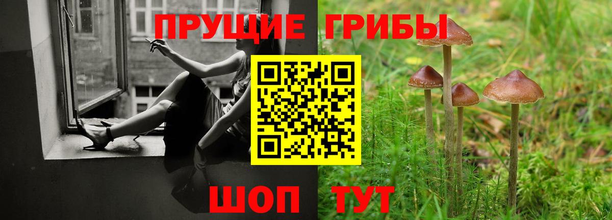 Галлюциногенные грибы MAGIC MUSHROOMS Котовск