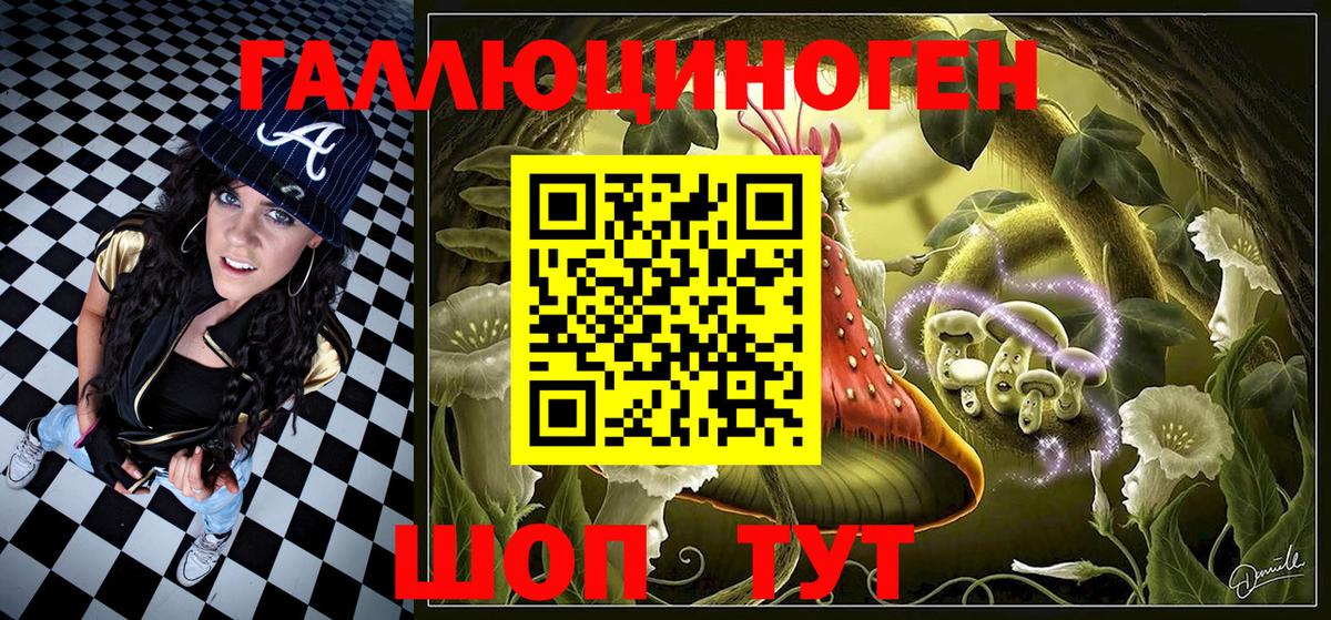 Котовск  Галлюциногенные грибы Psilocybine cubensis  Вход с VPN 